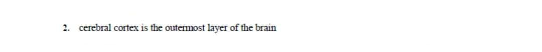 2. cerebral cortex is the outemmost layer of the brain
