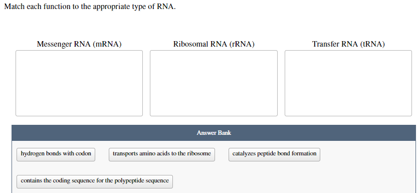 Match each function to the appropriate type of RNA.
Messenger RNA (MRNA)
Ribosomal RNA (1RNA)
Transfer RNA (tRNA)
Answer Bank
hydrogen bonds with codon
transports amino acids to the ribosome
catalyzes peptide bond formation
contains the coding sequence for the polypeptide sequence
