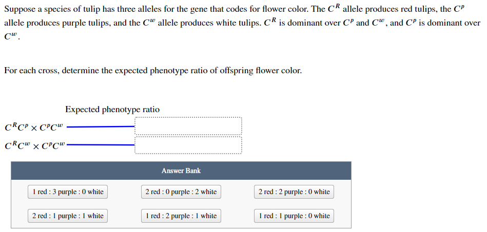 Suppose a species of tulip has three alleles for the gene that codes for flower color. The CR allele produces red tulips, the C'
allele produces purple tulips, and the C" allele produces white tulips. CR is dominant over CP and C", and C' is dominant over
C".
For each cross, determine the expected phenotype ratio of offspring flower color.
Expected phenotype ratio
CRCP × CPC"
CRC" × C'C"-
Answer Bank
1 red : 3 purple : 0 white
2 red : 0 purple : 2 white
2 red : 2 purple : 0 white
2 red :1 purple : 1 white
1 red : 2 purple : 1 white
1 red :1 purple : 0 white
