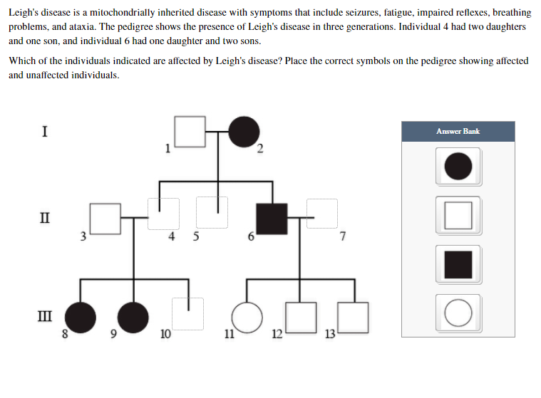 Leigh's disease is a mitochondrially inherited disease with symptoms that include seizures, fatigue, impaired reflexes, breathing
problems, and ataxia. The pedigree shows the presence of Leigh's disease in three generations. Individual 4 had two daughters
and one son, and individual 6 had one daughter and two sons.
Which of the individuals indicated are affected by Leigh's disease? Place the correct symbols on the pedigree showing affected
and unaffected individuals.
I
Answer Bank
1
II
3
4 5
7
III
10
11
12
13
