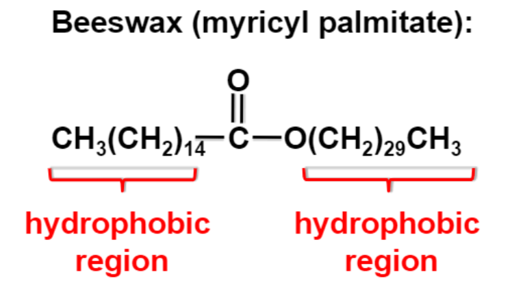 Beeswax (myricyl palmitate):
||
CH;(CH,),ċ-O(CH,)2,CH3
hydrophobic
region
hydrophobic
region
