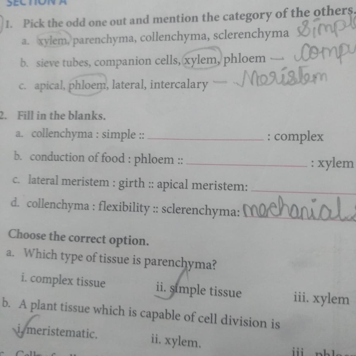 1. Pick the odd one out and mention the category of the others-
a. kylem. parenchyma, collenchyma, sclerenchyma tmp
b. sieve tubes, companion cells, xylem, phloem- omp
c. apical, phloem, lateral, intercalary
Merisbm
2. Fill in the blanks.
a. collenchyma : simple ::
: complex
b. conduction of food : phloem ::
: xylem
c. lateral meristem : girth :: apical meristem:
d. collenchyma : flexibility :: sclerenchyma:
MOChanial
Choose the correct option.
a. Which type of tissue is parenchyma?
i. complex tissue
ii. simple tissue
iii. xylem
b. A plant tissue which is capable of cell division is
imeristematic.
ii. xylem.
iji phlo
Cll
