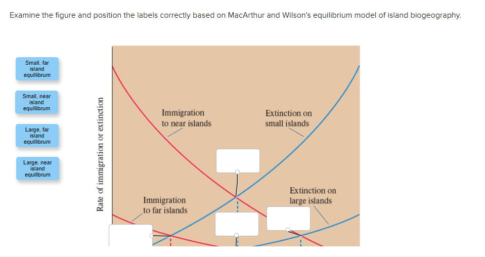 Examine the figure and position the labels correctly based on MacArthur and Wilson's equilibrium model of island biogeography.
Small, far
island
equillibrum
Small, near
island
equillibrum
Immigration
to near islands
Extinction on
small islands
Large, far
island
equillibrum
Large, near
island
equillbrum
Extinction on
Immigration
to far islands
large islands
Rate of immigration or extinction
