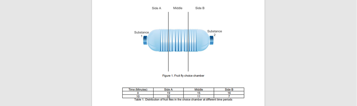 Side A
Middle
Side B
Substance
Substance
Figure 1. Fruit fly choice chamber
Time (Minutes)
Side A
Middle
Side B
19
15
16
10
32
11
Table 1. Distribution of fruit flies in the choice chamber at different time periods
