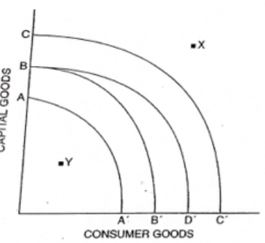 Y
B'
CONSUMER GOODS
A
D'
C
saos
