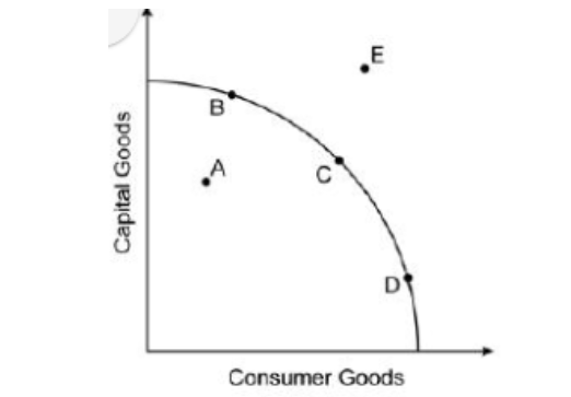 E
B
D
Consumer Goods
Capital Goods
