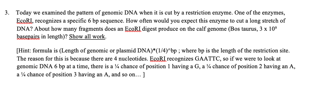3. Today we examined the pattern of genomic DNA when it is cut by a restriction enzyme. One of the enzymes,
EcoRI, recognizes a specific 6 bp sequence. How often would you expect this enzyme to cut a long stretch of
DNA? About how many fragments does an EcoRI digest produce on the calf genome (Bos taurus, 3 x 10⁹
basepairs in length)? Show all work.
[Hint: formula is (Length of genomic or plasmid DNA)*(1/4)^bp ; where bp is the length of the restriction site.
The reason for this is because there are 4 nucleotides. EcoRI recognizes GAATTC, so if we were to look at
genomic DNA 6 bp at a time, there is a ¼ chance of position 1 having a G, a ¼ chance of position 2 having an A,
a 14 chance of position 3 having an A, and so on... ]