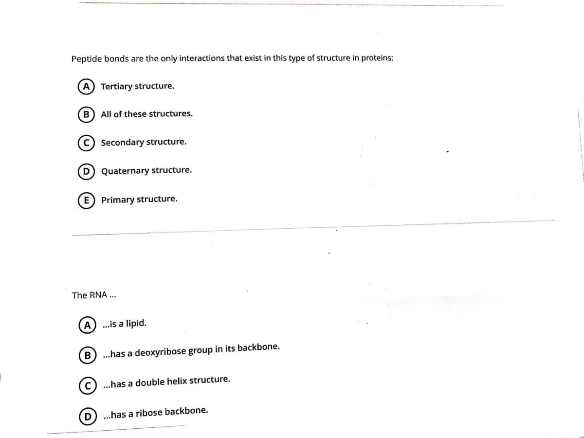Peptide bonds are the only interactions that exist in this type of structure in proteins:
A) Tertiary structure.
B
All of these structures.
c) Secondary structure.
D) Quaternary structure.
E) Primary structure.
The RNA ...
.is a lipid.
..has a deoxyribose group in its backbone.
c) ...has a double helix structure.
..has a ribose backbone.
