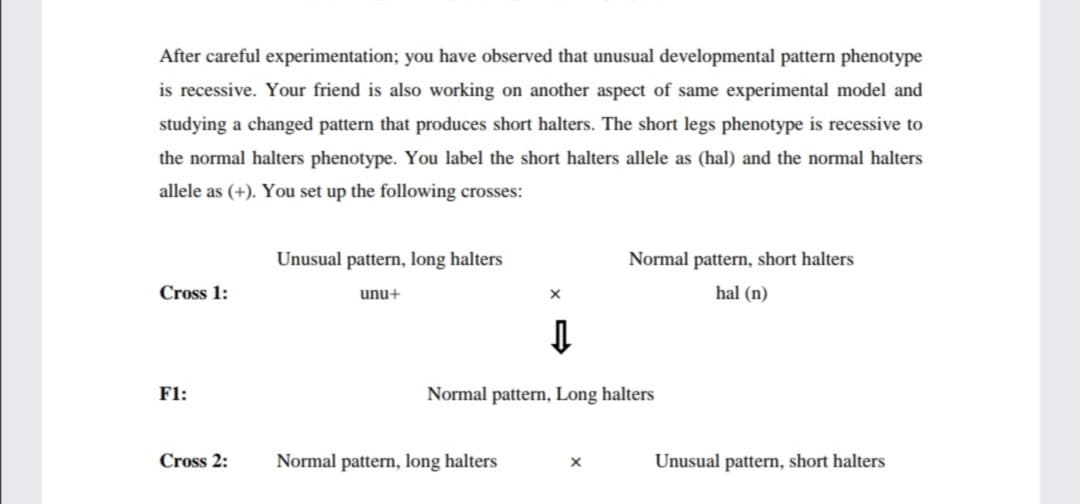 After careful experimentation; you have observed that unusual developmental pattern phenotype
is recessive. Your friend is also working on another aspect of same experimental model and
studying a changed pattern that produces short halters. The short legs phenotype is recessive to
the normal halters phenotype. You label the short halters allele as (hal) and the normal halters
allele as (+). You set up the following crosses:
Unusual pattern, long halters
Normal pattern, short halters
Cross 1:
unu+
hal (n)
F1:
Normal pattern, Long halters
Cross 2:
Normal pattern, long halters
Unusual pattern, short halters
