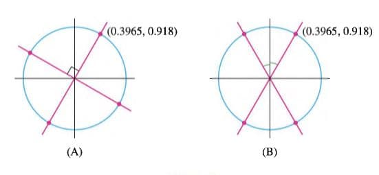 (0.3965, 0.918)
(0.3965, 0.918)
(A)
(B)
