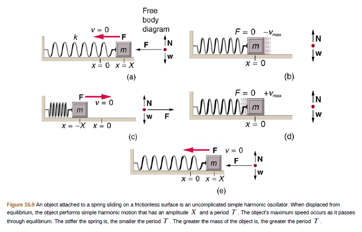 Free
body
diagram
v = 0
F = 0 -Vmax
IN
ÎN
www.m
x=0 x= x
(a)
(b)
F = 0 +Vmax
v = 0
IN
IN
m
х%3 -X х— 0
(c)
(d)
F v = 0
IN
x = 0 x= X
(e)
Figure 16.9 An object attached to a spring sliding on a frictionless surface is an uncomplicated simple harmonic oscillator. When displaced from
equilibrium, the object performs simple harmonic motion that has an amplitude X and a period T. The object's maximum speed occurs as it passes
through equilibrium. The stiffer the spring is, the smaller the period T. The greater the mass of the object is, the greater the period T.
