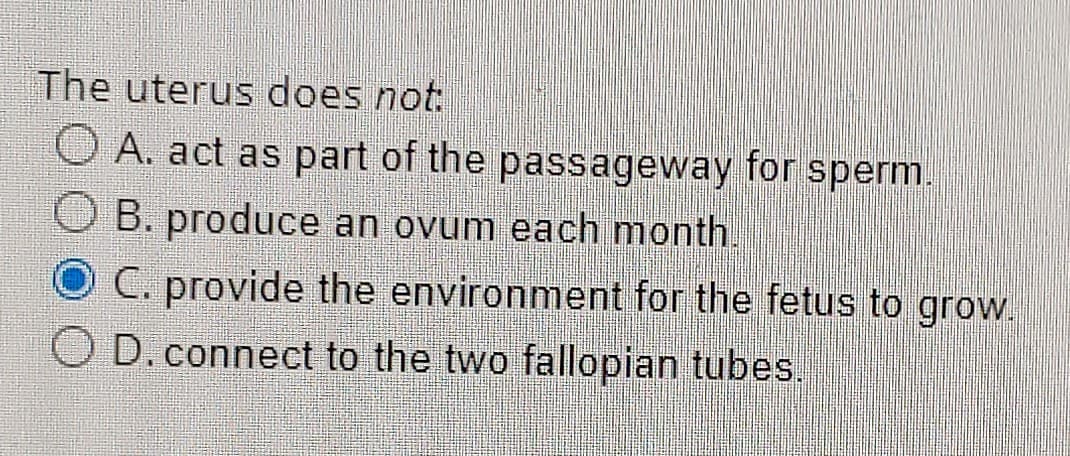 The uterus does not:
O A. act as part of the passageway for sperm.
OB. produce an ovum each month.
O C. provide the environment for the fetus to grow.
O D.connect to the two fallopian tubes.
