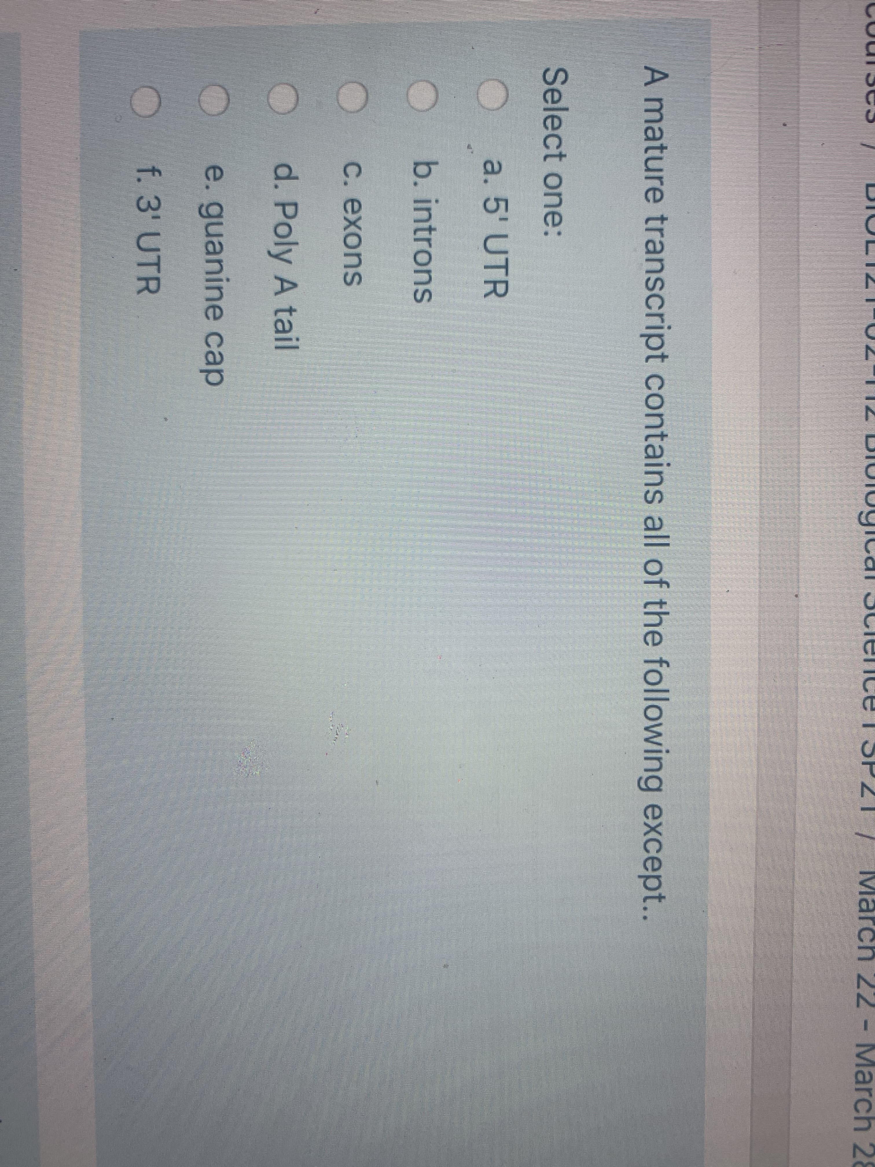 A mature transcr
Select one:
a. 5' UTR
b.introns
С. ехons
O d. Poly A ta
e. guanine
f.3' UTR
