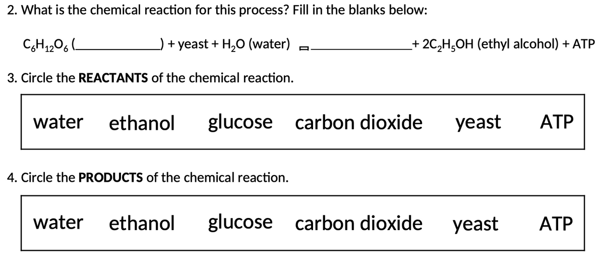 2. What is the chemical reaction for this process? Fill in the blanks below:
C6H12O6
+ yeast + H₂O (water)
3. Circle the REACTANTS of the chemical reaction.
+ 2C₂H5OH (ethyl alcohol) + ATP
water ethanol glucose carbon dioxide
4. Circle the PRODUCTS of the chemical reaction.
water ethanol glucose carbon dioxide
yeast
yeast
ATP
ATP