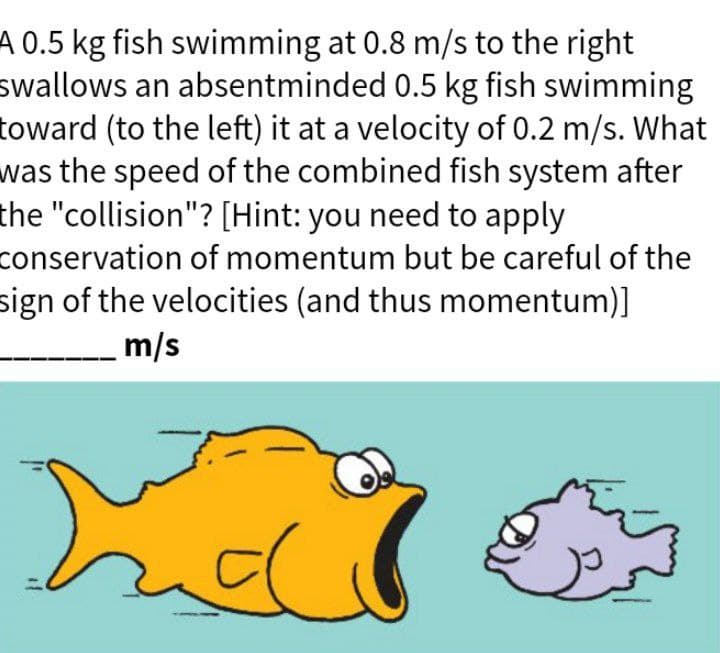 A 0.5 kg fish swimming at 0.8 m/s to the right
swallows an absentminded 0.5 kg fish swimming
toward (to the left) it at a velocity of 0.2 m/s. What
was the speed of the combined fish system after
the "collision"? [Hint: you need to apply
conservation of momentum but be careful of the
sign of the velocities (and thus momentum)]
m/s
11
nd