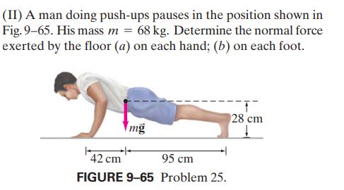 (II) A man doing push-ups pauses in the position shown in
Fig. 9–65. His mass m = 68 kg. Determine the normal force
exerted by the floor (a) on each hand; (b) on each foot.
28 cm
mg
42 cm
95 cm
FIGURE 9-65 Problem 25.
