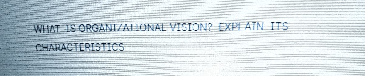 WHAT IS ORGANIZATIONAL VISION? EXPLAIN ITS
CHARACTERISTICS
