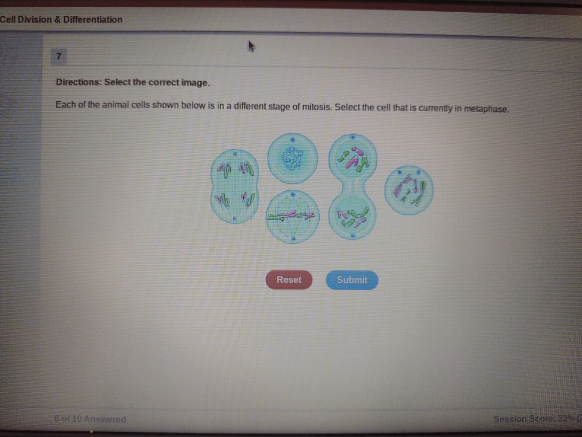 Cell Division & Differentiation
Directions: Select the correct image.
Each of the animal cells shown below is in a different stage of mitosis. Select the cell that is currently in metaphase.
Reset
Submit
6 of 10 Answered
Session Score. 33%
