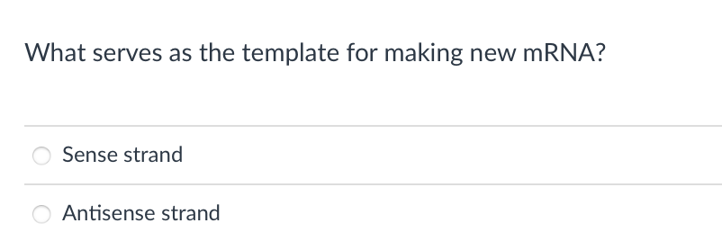 What serves as the template for making new MRNA?
Sense strand
Antisense strand
