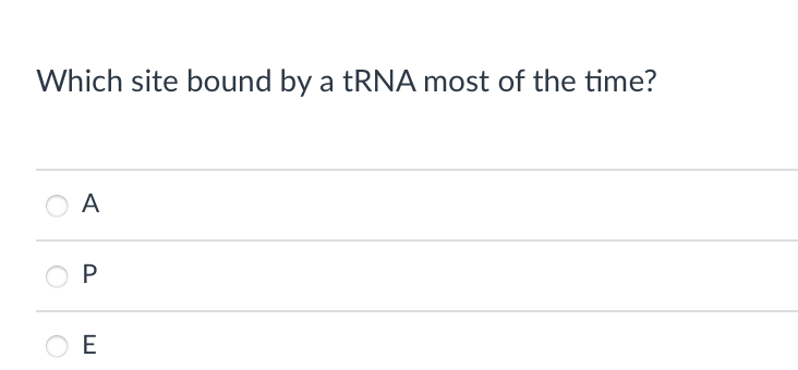 Which site bound by a TRNA most of the time?
A
E
P.
