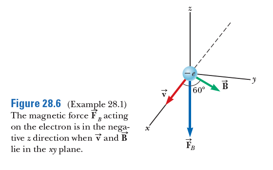 60°
Figure 28.6 (Example 28.1)
The magnetic force F, acting
on the electron is in the nega-
tive z direction when v and B
lie in the xy plane.
FB
