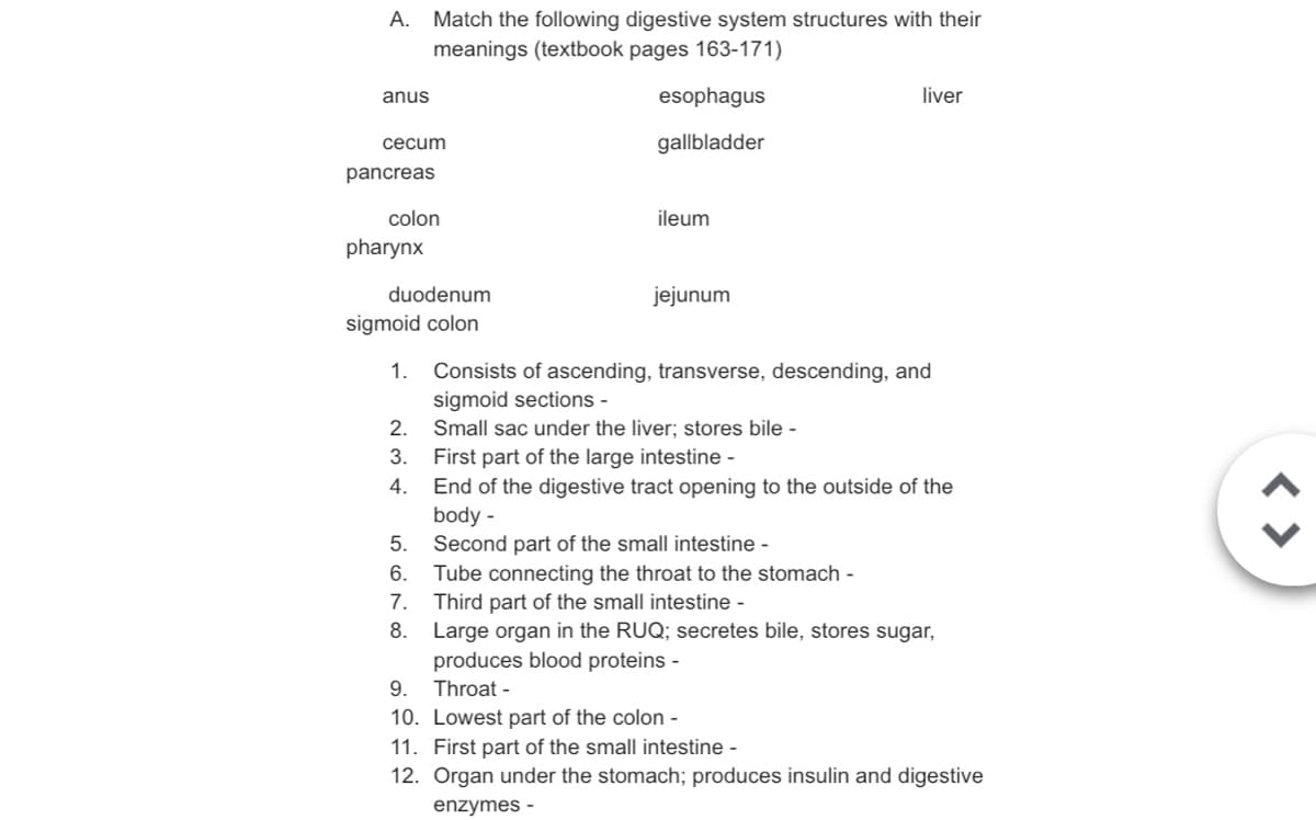 А.
Match the following digestive system structures with their
meanings (textbook pages 163-171)
anus
esophagus
liver
cecum
gallbladder
pancreas
colon
ileum
pharynx
duodenum
jejunum
sigmoid colon
1.
Consists of ascending, transverse, descending, and
sigmoid sections -
Small sac under the liver; stores bile -
2.
First part of the large intestine -
End of the digestive tract opening to the outside of the
body -
Second part of the small intestine -
Tube connecting the throat to the stomach -
7. Third part of the small intestine -
Large organ in the RUQ; secretes bile, stores sugar,
produces blood proteins -
3.
4.
5.
6.
8.
9. Throat -
10. Lowest part of the colon -
11. First part of the small intestine -
12. Organ under the stomach; produces insulin and digestive
enzymes -
