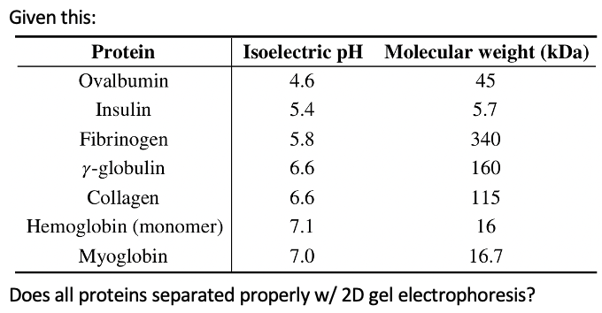 Given this:
Protein
Isoelectric pH Molecular weight (kDa)
Ovalbumin
4.6
45
Insulin
5.4
5.7
Fibrinogen
5.8
340
Y-globulin
6.6
160
Collagen
6.6
115
Hemoglobin (monomer)
7.1
16
Myoglobin
7.0
16.7
Does all proteins separated properly w/ 2D gel electrophoresis?
