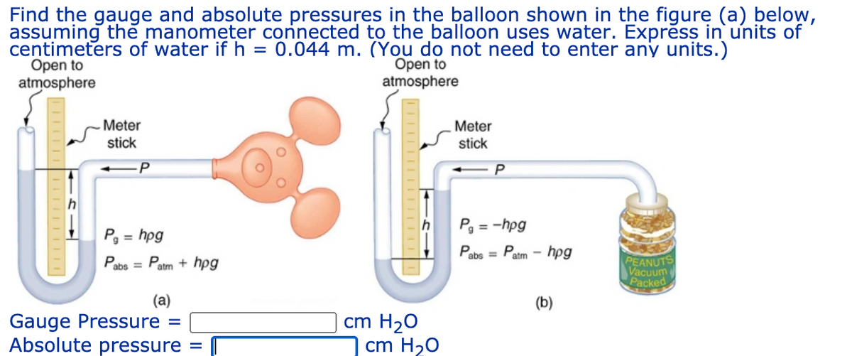 Find the gauge and absolute pressures in the balloon shown in the figure (a) below,
assuming thě manometer connected to the balloon uses water. Exprěss in units of
centimeters of water if h = 0.044 m. (You do not need to enter any units.)
Open to
atmosphere
Open to
atmosphere
Meter
Meter
stick
stick
P
Pg = -hpg
P3 = hpg
- hpg
abs =
atm
PEANUTS
Vacuum
Packed
Pabs = Patm + hpg
(a)
(b)
Gauge Pressure
Absolute pressure
cm H20
cm H20
