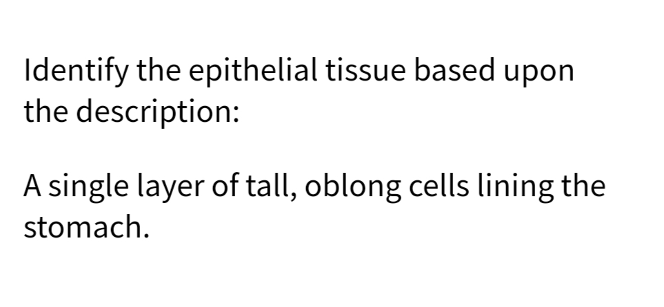 Identify the epithelial tissue based upon
the description:
A single layer of tall, oblong cells lining the
stomach.
