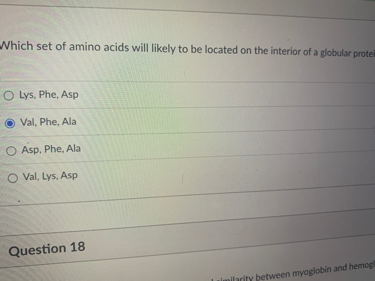 Which set of amino acids will likely to be located on the interior of a globular protei
O Lys, Phe, Asp
Val, Phe, Ala
O Asp, Phe, Ala
O Val, Lys, Asp
Question 18
Limilarity between myoglobin and hemogl
