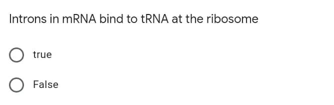 Introns in mRNA bind to tRNA at the ribosome
true
False
