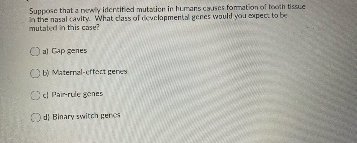 Suppose that a newly identified mutation in humans causes formation of tooth tissue
in the nasal cavity. What class of developmental genes would you expect to be
mutated in this case?
O a) Gap genes
O b) Maternal-effect genes
c) Pair-rule genes
O d) Binary switch genes
