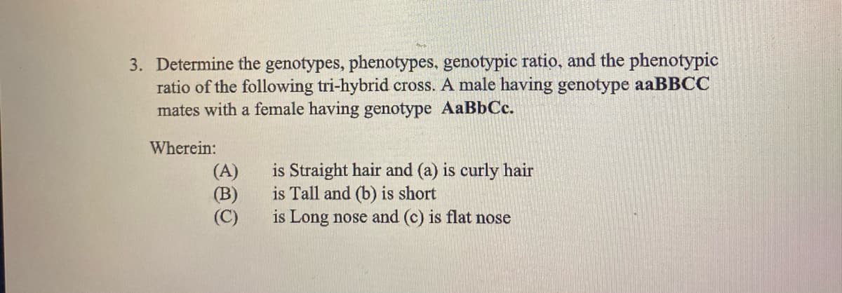 3. Determine the genotypes, phenotypes, genotypic ratio, and the phenotypic
ratio of the following tri-hybrid cross. A male having genotype aaBBCC
mates with a female having genotype AaBbCc.
Wherein:
(A)
(B)
(C)
is Straight hair and (a) is curly hair
is Tall and (b) is short
is Long nose and (c) is flat nose
