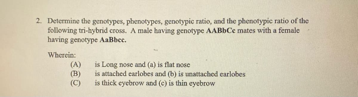 2. Determine the genotypes, phenotypes, genotypic ratio, and the phenotypic ratio of the
following tri-hybrid cross. A male having genotype AABbCc mates with a female
having genotype AaBbcc.
Wherein:
(A)
(B)
(C)
is Long nose and (a) is flat nose
is attached earlobes and (b) is unattached earlobes
is thick eyebrow and (c) is thin eyebrow
