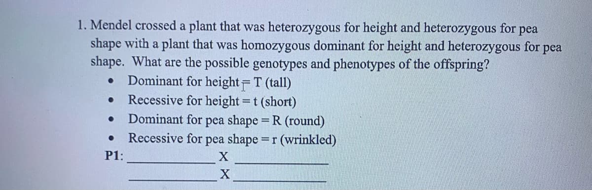 1. Mendel crossed a plant that was heterozygous for height and heterozygous for pea
shape with a plant that was homozygous dominant for height and heterozygous for
shape. What are the possible genotypes and phenotypes of the offspring?
Dominant for height= T (tall)
Recessive for height =t (short)
pea
Dominant for
pea shape = R (round)
%3D
Recessive for
pea shape
=r(wrinkled)
P1:

