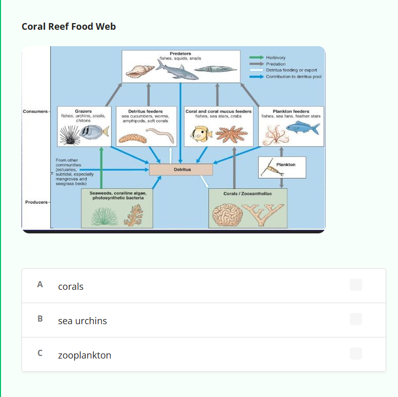 Coral Reef Food Web
Consumers-
Producers-
A
B
C
Grazers
fishes, urchins, snails,
chitons
From other
communities
(estuaries.
subtidal, especially
mangroves and
seagrass beds)
corals
Seaweeds, coralline algae,
photosynthetic bacteria
sea urchins
zooplankton
Predators
fishes, squids, snails
Detritus feeders
sea cucumbers, worms,
amphipods, soft corals
Coral and coral mucus feeders
fishes, sea stars, crabs
Detritus
Herbivory
Predation
Detritus feeding or export
Contribution to detritus pool
BILL
Plankton feeders
fishes, sea fans, feather stars
Corals/Zooxanthellac
Plankton