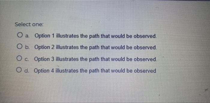 Select one:
O a. Option 1 illustrates the path that would be observed.
Oa.
O b. Option 2 illustrates the path that would be observed.
O c. Option 3 illustrates the path that would be observed.
O d. Option 4 illustrates the path that would be observed
