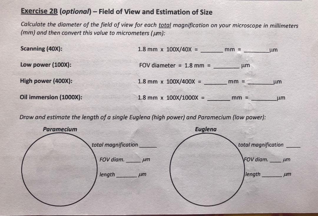 Exercise 2B (optional)- Field of View and Estimation of Size
Calculate the diameter of the field of view for each total magnification on your microscope in millimeters
(mm) and then convert this value to micrometers (um):
Scanning (40X):
1.8 mm x 100X/40X =
mm =
um
Low power (100X):
FOV diameter = 1.8 mm =
um
High power (400X):
1.8 mm x 100X/400X =
mm =
Oil immersion (1000X):
1.8 mm x 100x/1000X =
mm =
um
Draw and estimate the length of a single Euglena (high power) and Paramecium (low power):
Paramecium
Euglena
total magnification
total magnification
FOV diam.
um
FOV diam.
um
length
length
um
