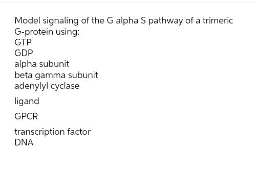 Model signaling of the G alpha S pathway of a trimeric
G-protein using:
GTP
GDP
alpha subunit
beta gamma subunit
adenylyl cyclase
ligand
GPCR
transcription factor
DNA