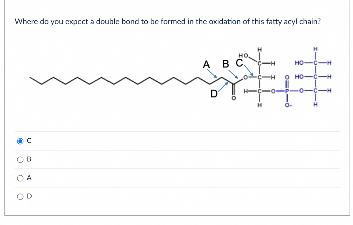 Where do you expect a double bond to be formed in the oxidation of this fatty acyl chain?
O
B
A
U
H
H
но.
A B C C-H
-H 0 HỌ–CH
*###
HIC-O-P- ·0-C-H
H
D
HO-C-H
H