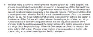 F. You then make a screen to identify potential mutants (shown as in the diagram) that
are abie to consitulively activate Up Late operan in the absence of Red Bui and those
that are not able to facilitate E. Coli growth even when fed Red Bull. You find that each
dass of mutations localize separately to two separate regions. For those mutations that
prevent growth even when fed Red Bul are all dustered upstream of the core promoter
around -50 bp. For those mutations that are able to constitutively activate the operon in
the absence of Red Bull are all located between the coding region of sieep and wings.
Further analysis of each DNA sequence shows that the sequence upstream of the
promoter binds the protein wings and the region between the coding sequence of sieep
and wings binds the protein sloep. When the DNA soquence of each is mutated, the
ability to bind DNA is lost. Propose a final method of gene regulation of the Up Late
operon using an updated drawn figure of the Up Late operon.
