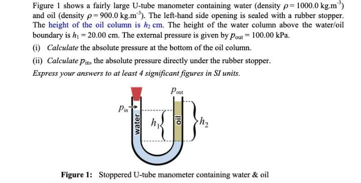 Figure 1 shows a fairly large U-tube manometer containing water (density p= 1000.0 kg.m³3)
and oil (density p=900.0 kg.m³). The left-hand side opening is sealed with a rubber stopper.
The height of the oil column is h₂ cm. The height of the water column above the water/oil
boundary is h₁ = 20.00 cm. The external pressure is given by Pout = 100.00 kPa.
(i) Calculate the absolute pressure at the bottom of the oil column.
(ii) Calculate pin, the absolute pressure directly under the rubber stopper.
Express your answers to at least 4 significant figures in SI units.
Pout
Pin
h₁
U
water
oil
h₂
Figure 1: Stoppered U-tube manometer containing water & oil