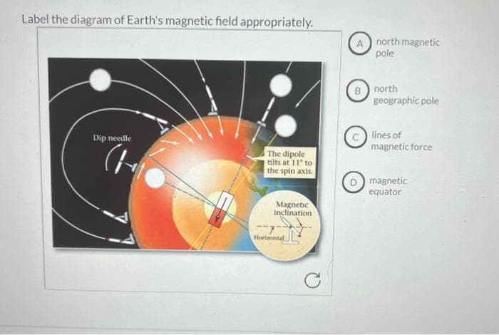 Label the diagram of Earth's magnetic field appropriately.
Dip needle
CH
The dipole
tilts at 11" to
the spin axis.
Magnetic
inclination
-7
Horizontal
C
A north magnetic
pole
B north
geographic pole
C lines of
magnetic force
D magnetic
equator