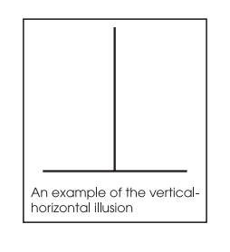 An example of the vertical-
horizontal illusion

