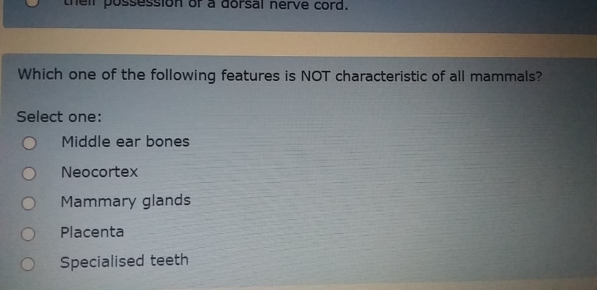 of a dorsal nerve cord.
Which one of the following features is NOT characteristic of all mammals?
Select one:
Middle ear bones
Neocortex
Mammary glands
Placenta
Specialised teeth
