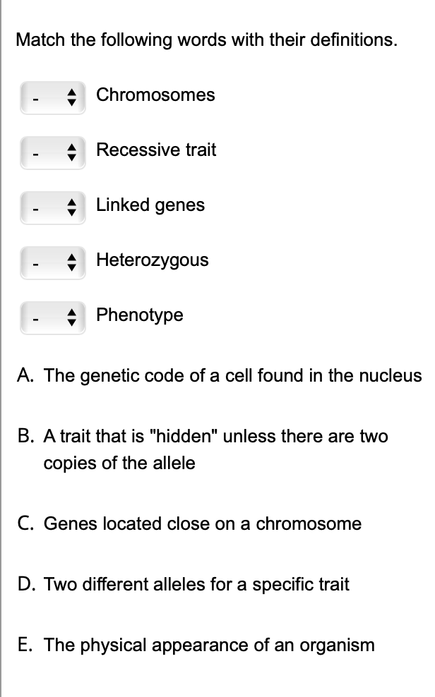 Match the following words with their definitions.
Chromosomes
A Recessive trait
A Linked genes
Heterozygous
Phenotype
A. The genetic code of a cell found in the nucleus
B. A trait that is "hidden" unless there are two
copies of the allele
C. Genes located close on a chromosome
D. Two different alleles for a specific trait
E. The physical appearance of an organism
