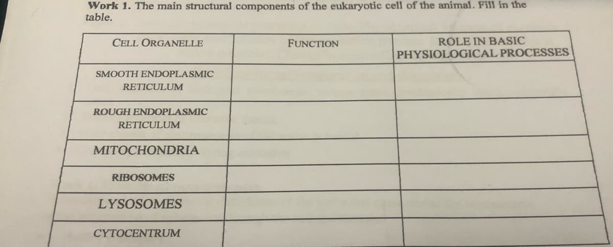 Work 1. The main structural components of the eukaryotic cell of the animal. Fill in the
table.
CELL ORGANELLE
FUNCTION
ROLE IN BASIC
PHYSIOLOGICAL PROCESSES
SMOOTH ENDOPLASMIC
RETICULUM
ROUGH ENDOPLASMIC
RETICULUM
MITOCHONDRIA
RIBOSOMES
LYSOSOMES
CYTOCENTRUM
