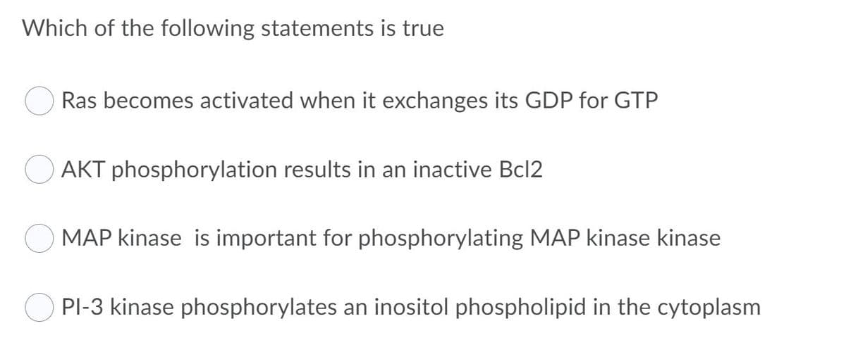 Which of the following statements is true
Ras becomes activated when it exchanges its GDP for GTP
AKT phosphorylation results in an inactive Bcl2
MAP kinase is important for phosphorylating MAP kinase kinase
PI-3 kinase phosphorylates an inositol phospholipid in the cytoplasm
