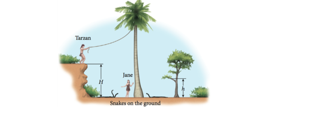 Tarzan
Jane
Snakes on the ground
