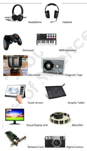 Headphone
Headset
Gamepad
MIDI Keyboard
Microfiche
Magnetic Tape
Touch Screen
Graphic Tablet
Visual Display Unit
Microfilm
Network Card
Digital Camera
